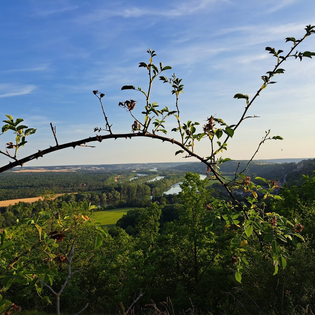 Point de vue des Coteaux de la Seine 1